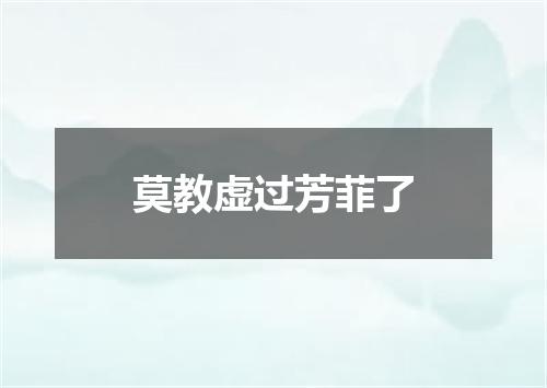 莫教虚过芳菲了