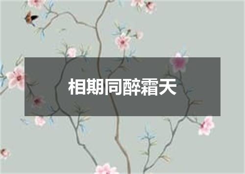 相期同醉霜天