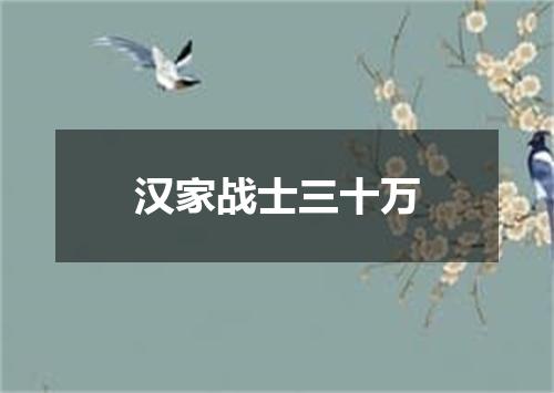 汉家战士三十万