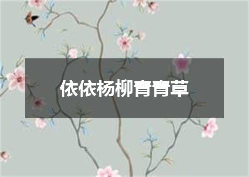 依依杨柳青青草