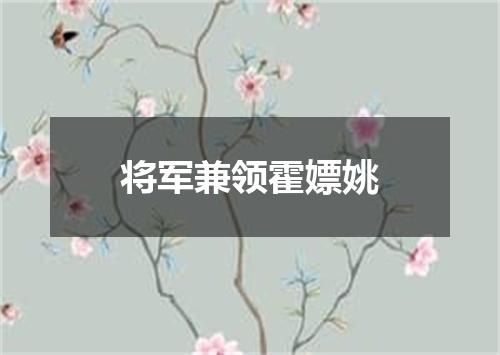 将军兼领霍嫖姚