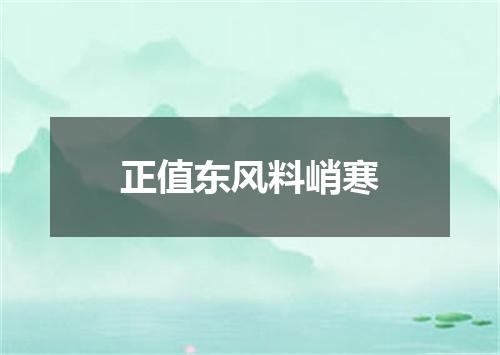正值东风料峭寒