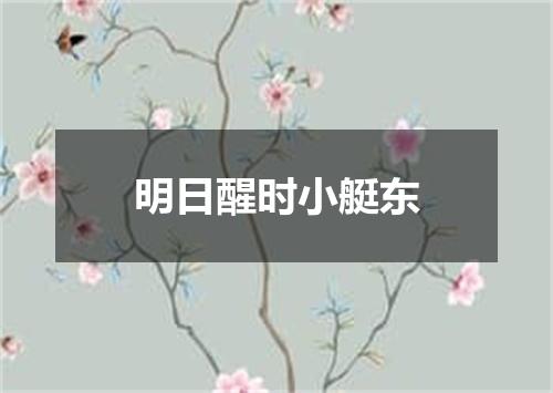 明日醒时小艇东