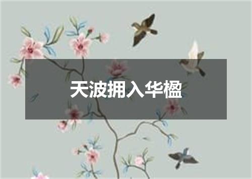 天波拥入华楹