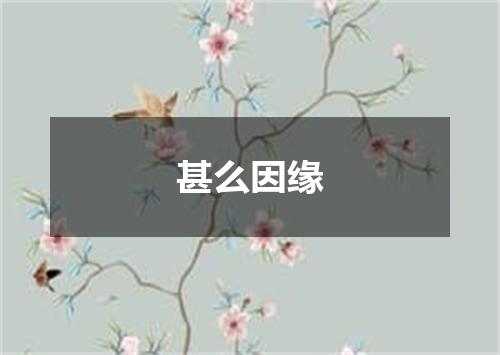甚么因缘