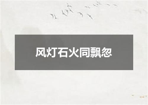 风灯石火同飘忽