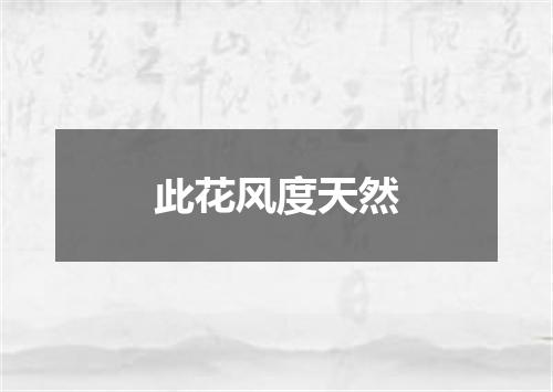 此花风度天然