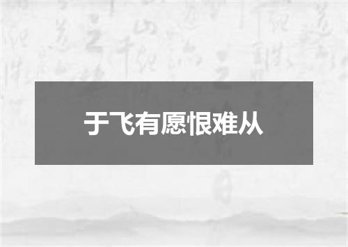 于飞有愿恨难从