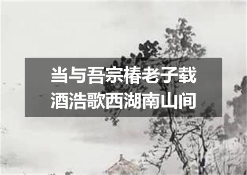 当与吾宗椿老子载酒浩歌西湖南山间