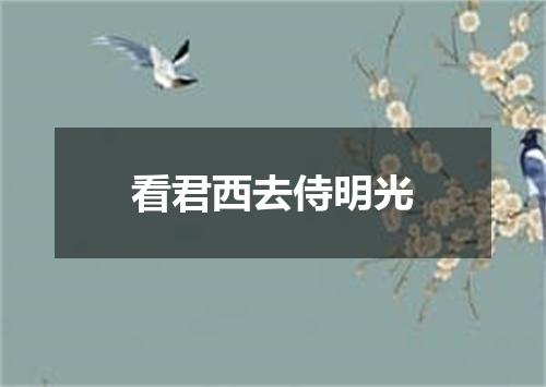 看君西去侍明光