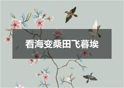 看海变桑田飞暮埃