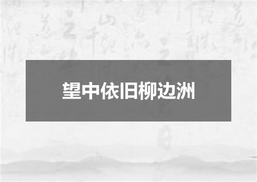 望中依旧柳边洲