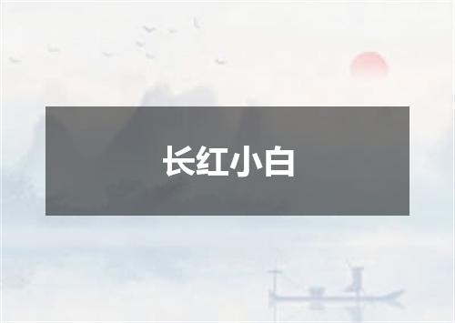 长红小白