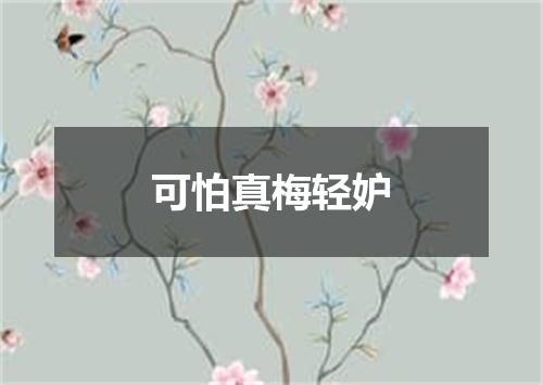 可怕真梅轻妒