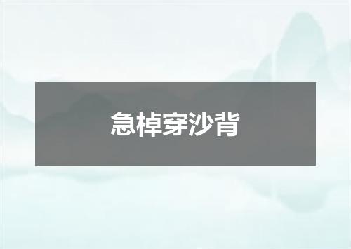 急棹穿沙背
