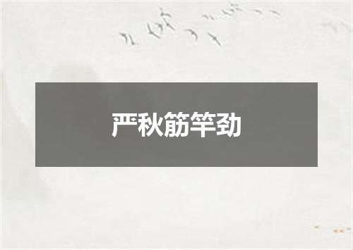 严秋筋竿劲