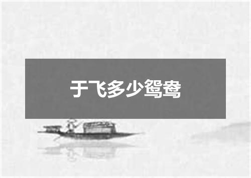 于飞多少鸳鸯