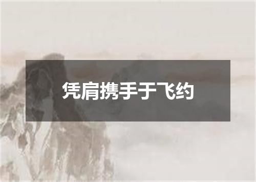 凭肩携手于飞约