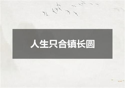 人生只合镇长圆