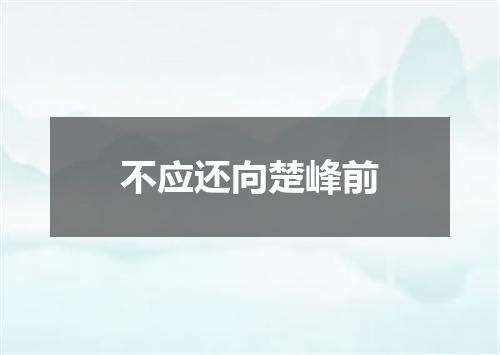 不应还向楚峰前