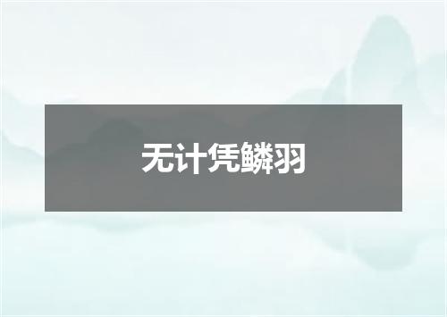 无计凭鳞羽
