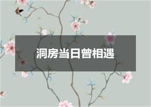 洞房当日曾相遇