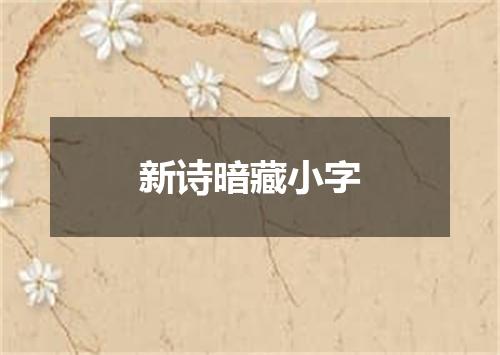 新诗暗藏小字