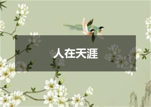 人在天涯