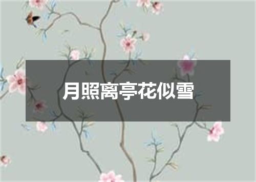 月照离亭花似雪