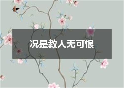 况是教人无可恨