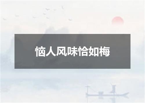 恼人风味恰如梅