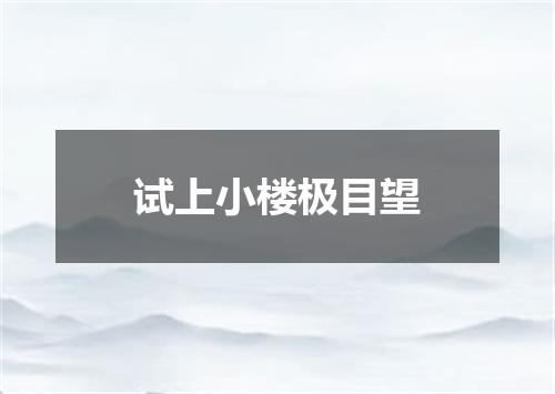 试上小楼极目望