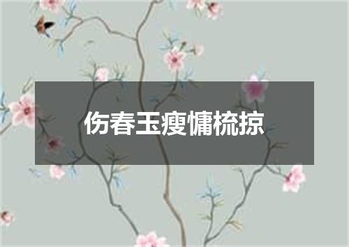 伤春玉瘦慵梳掠