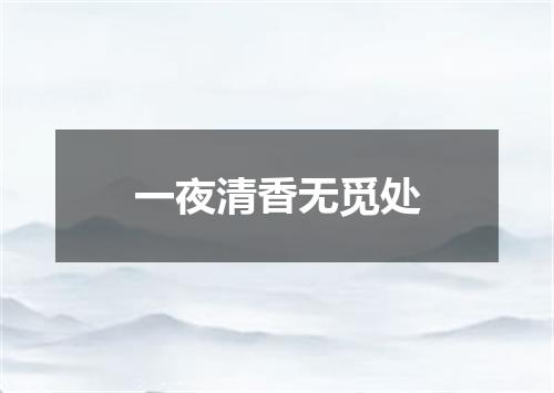 一夜清香无觅处