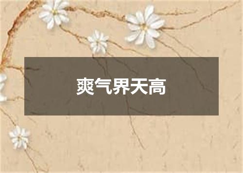 爽气界天高