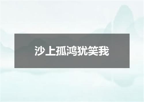 沙上孤鸿犹笑我