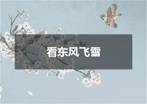 看东风飞雪