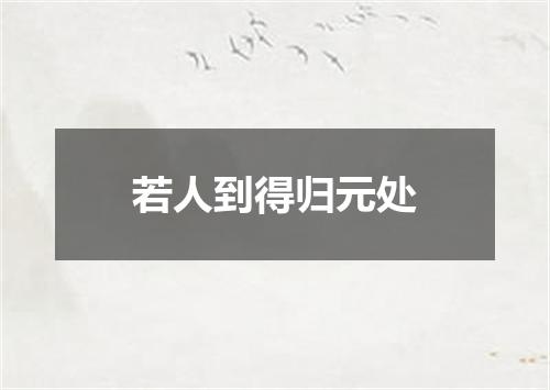 若人到得归元处