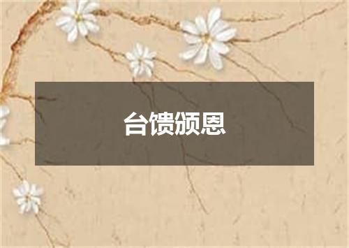 台馈颁恩