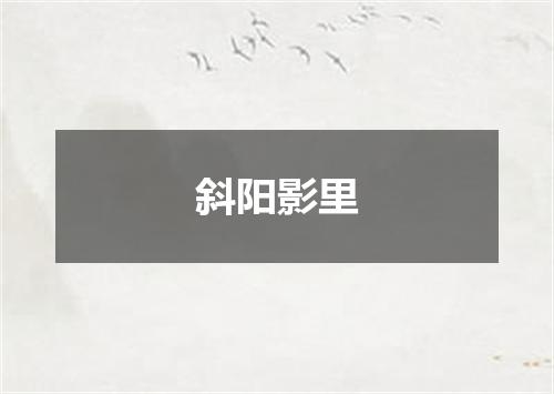 斜阳影里
