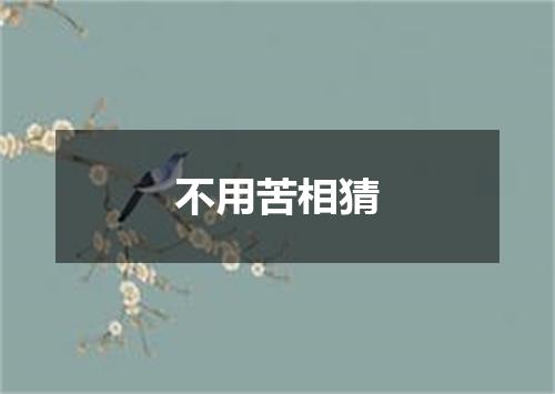 不用苦相猜