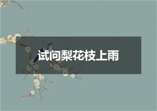 试问梨花枝上雨
