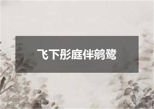 飞下彤庭伴鹓鹭