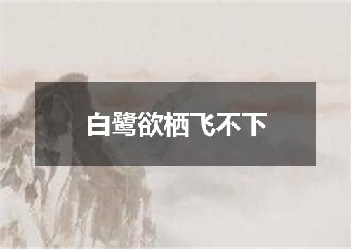 白鹭欲栖飞不下