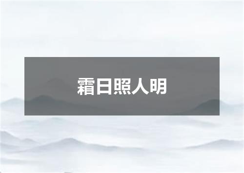 霜日照人明