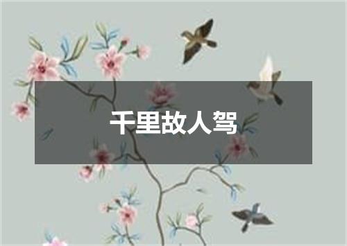 千里故人驾