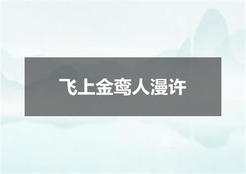 飞上金鸾人漫许