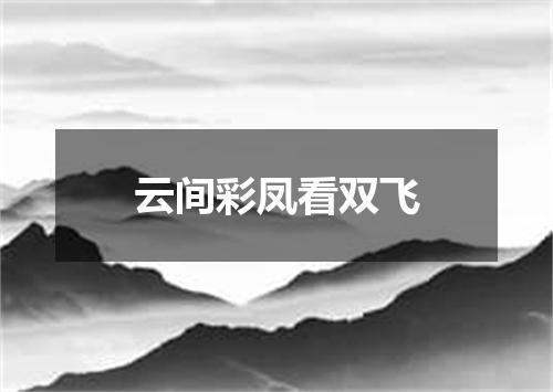 云间彩凤看双飞