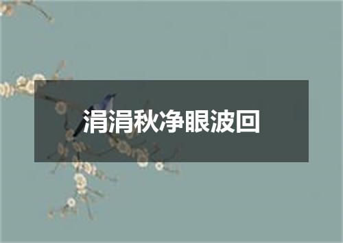 涓涓秋净眼波回
