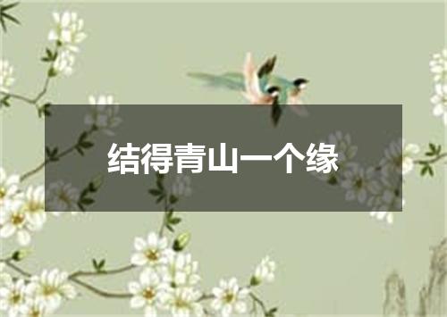 结得青山一个缘